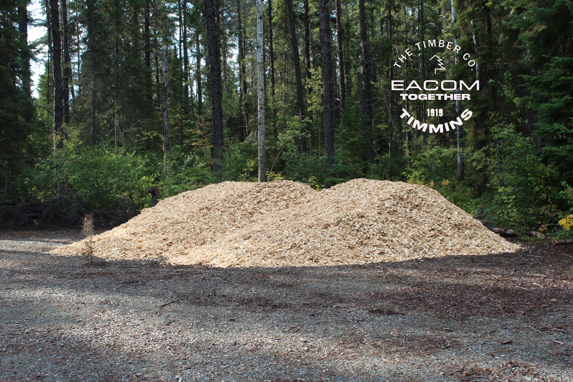 Large pile of woodchips donated by Eacom Timber