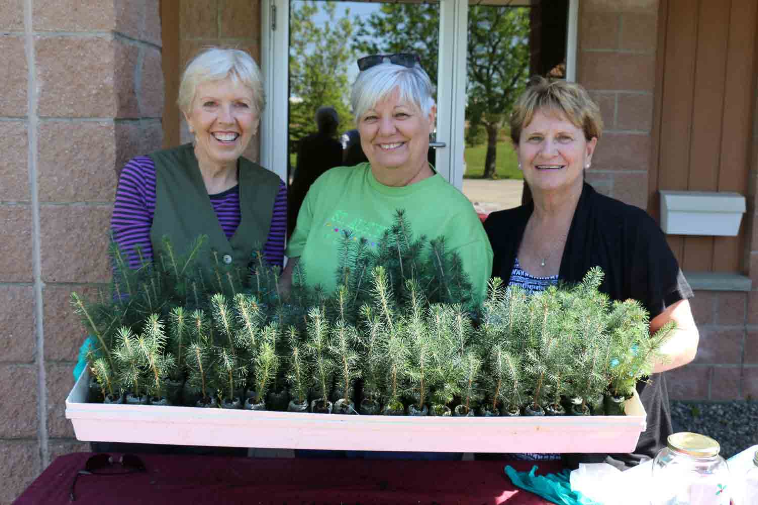 Ladies holding a tray of tree saplings at Arbour Day Celebrations