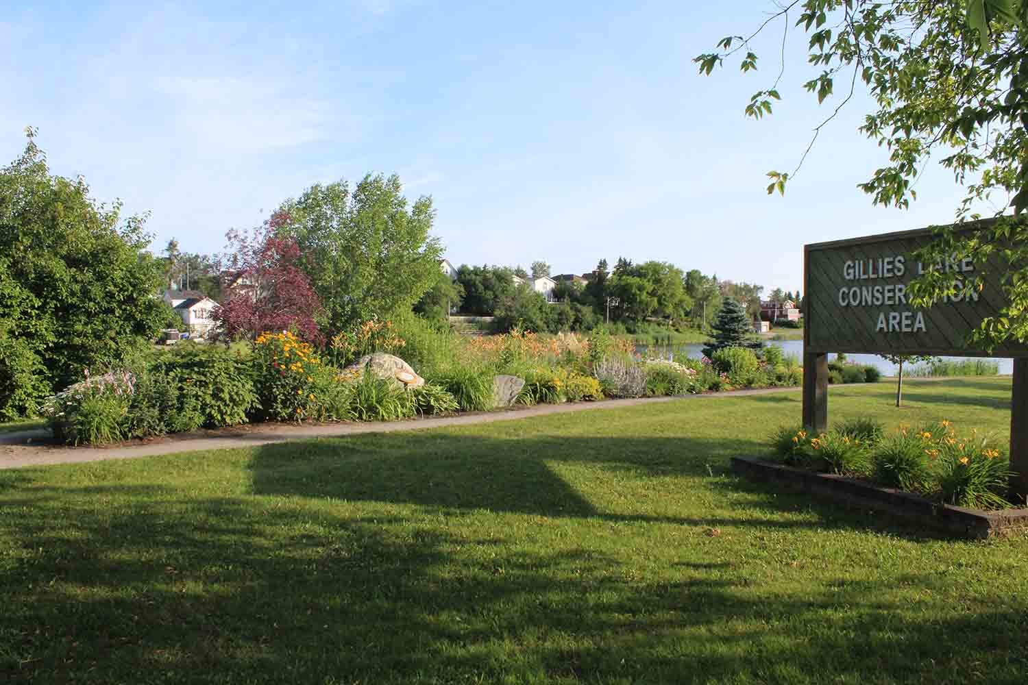 Gardens in bloom at Gillies Lake Conservation Area