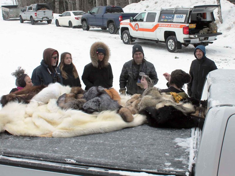 2023 Winter Hiking Day Timmins Fur Council Presentation