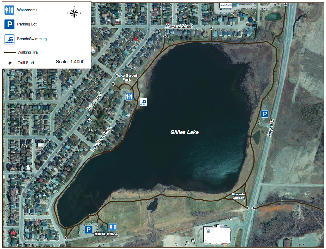 Gillies Lake trail network map