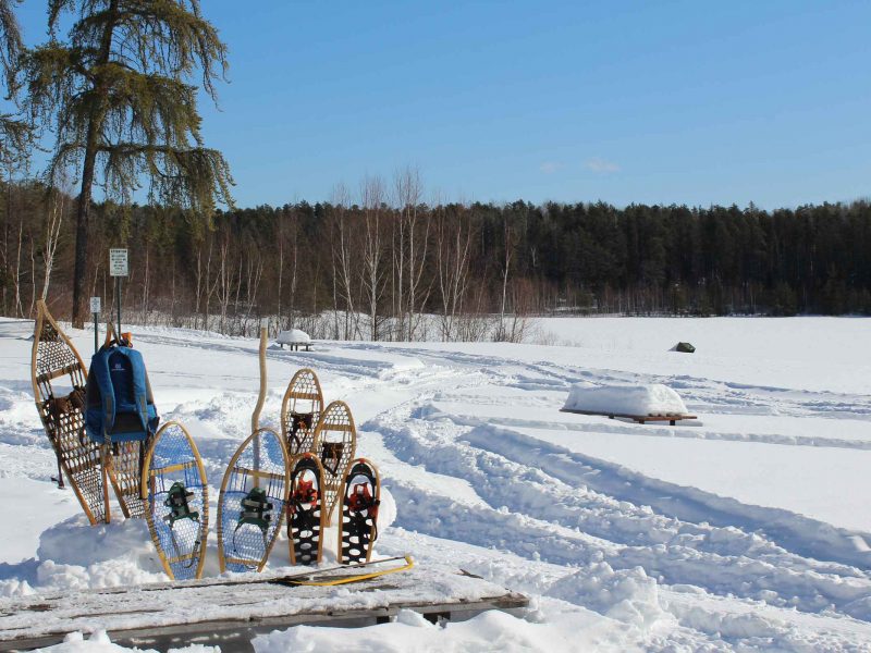 snowshoes in a snowbank alongside a lake