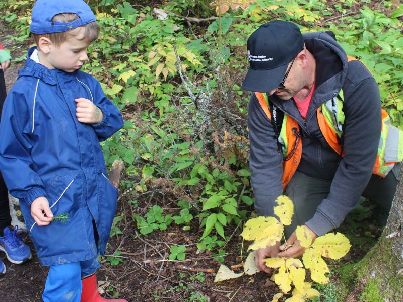 Guide explaining plant to young boy