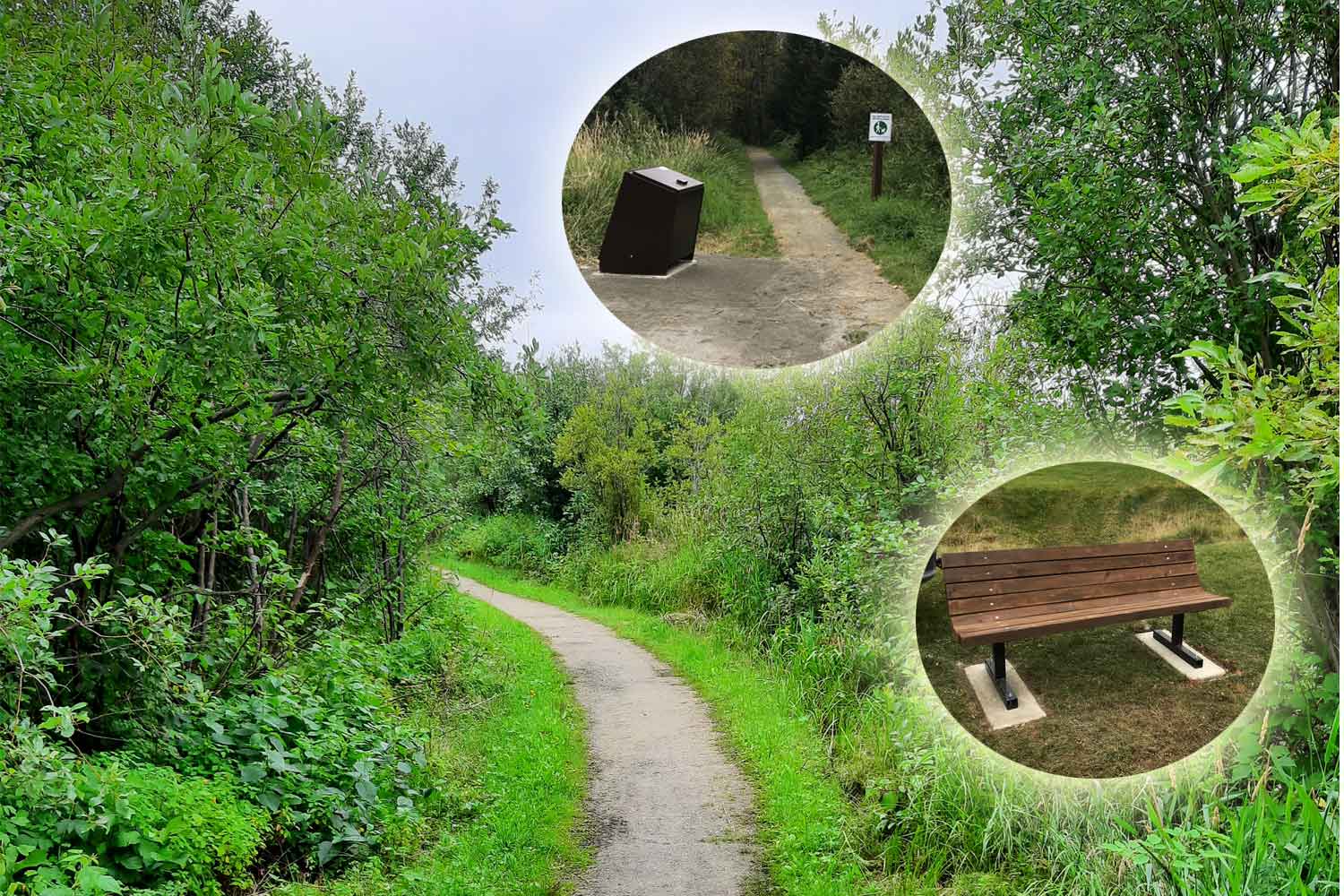 widened trail areas, new benches and bear proof garbage bins