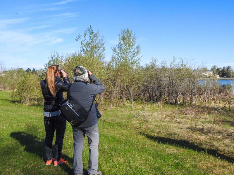 Participants looking for birds at Gillies Lake