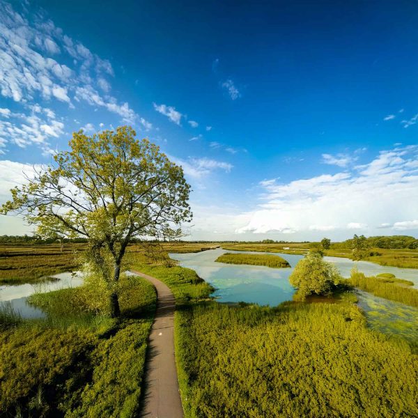 Path through wetlands and pond area