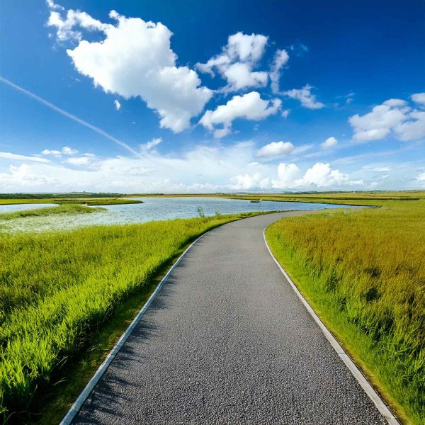 Rendered image of a trail alongside a pond